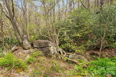 92 Rose Hill Road, Asheville, NC 28803 - Photo 43
