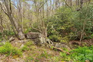 92 Rose Hill Rd, Asheville, NC 28803 - Photo 43