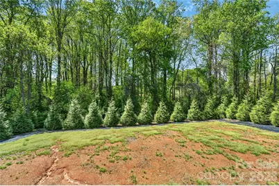 176 Foy Lane, Statesville, NC 28625 - Photo 27