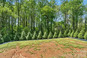 176 Foy Ln, Statesville, NC 28625 - Photo 27