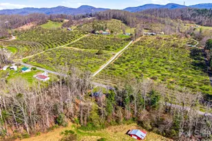 984 Pace Rd, Hendersonville, NC 28792 - Photo 15