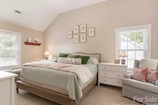 9201 Hanworth Trace Dr, Charlotte, NC 28277 - Photo 17