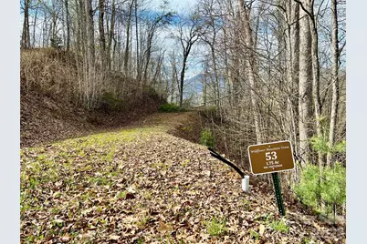 00 Lyle Mountain Trail #53, Franklin, NC 28734 - Photo 11