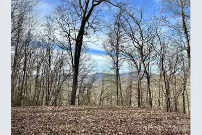 00 Lyle Mountain Trail #53, Franklin, NC 28734 - Photo 13