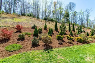 153 Water Leaf Dr, Weaverville, NC 28787 - Photo 37