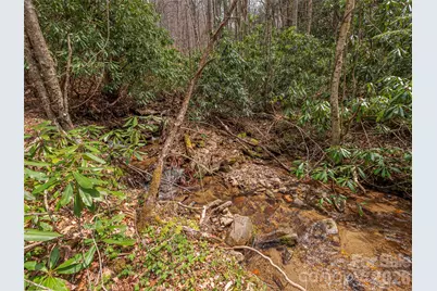 00 Norton Fork Road, Spring Creek, NC 28743 - Photo 5