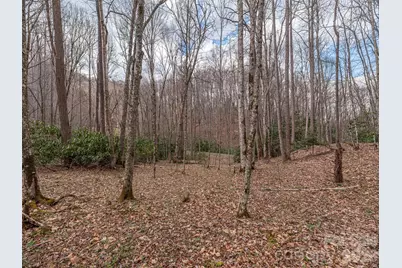 00 Norton Fork Road, Spring Creek, NC 28743 - Photo 3