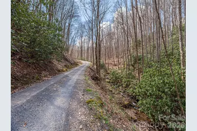 00 Norton Fork Road, Spring Creek, NC 28743 - Photo 15