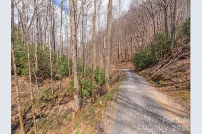 00 Norton Fork Road, Spring Creek, NC 28743 - Photo 13