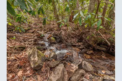 00 Norton Fork Road, Spring Creek, NC 28743 - Photo 7