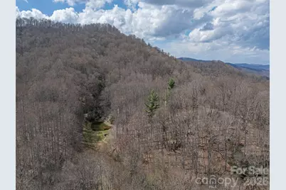 00 Norton Fork Road, Spring Creek, NC 28743 - Photo 21