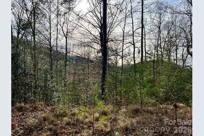 00 Lupine Lane #182, Franklin, NC 28734 - Photo 11