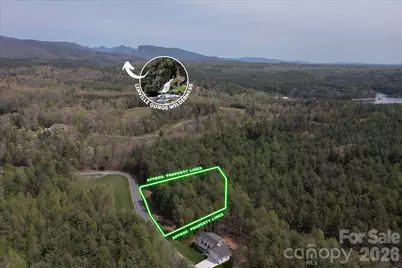 103 Big Tree Way, Nebo, NC 28761 - Photo 9