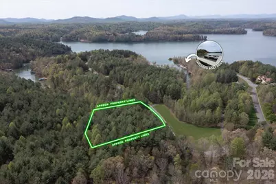 103 Big Tree Way, Nebo, NC 28761 - Photo 1