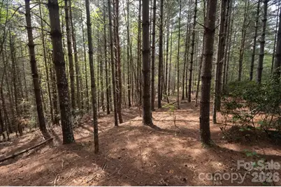 103 Big Tree Way, Nebo, NC 28761 - Photo 7