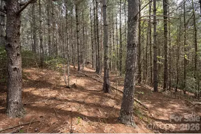 103 Big Tree Way, Nebo, NC 28761 - Photo 5