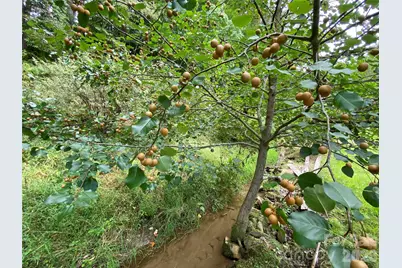 111 Hensley Branch Road, Burnsville, NC 28714 - Photo 9