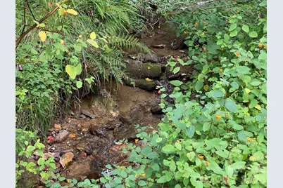 111 Hensley Branch Road, Burnsville, NC 28714 - Photo 23