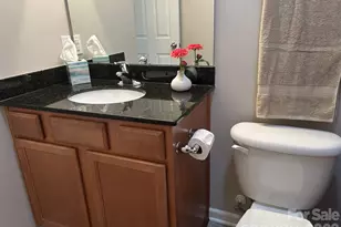 272 Abigail Ct, Rock Hill, SC 29730 - Photo 13