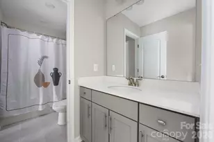 1079 Dorsey Dr, Fort Mill, SC 29715 - Photo 39