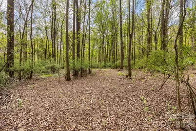 10601 Wildlife Road, Charlotte, NC 28278 - Photo 9