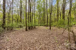 10601 Wildlife Rd, Charlotte, NC 28278 - Photo 9