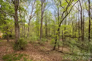 10601 Wildlife Rd, Charlotte, NC 28278 - Photo 7