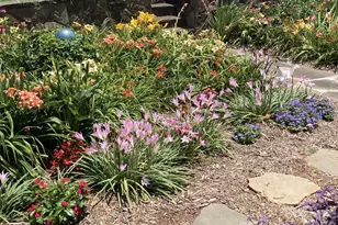 729 Sternbridge Dr, Concord, NC 28025 - Photo 7