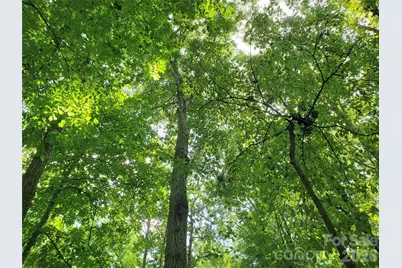 952 W Oak Drive, Rock Hill, SC 29732 - Photo 17