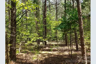 952 W Oak Drive, Rock Hill, SC 29732 - Photo 19