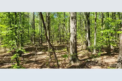 952 W Oak Drive, Rock Hill, SC 29732 - Photo 35