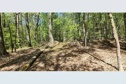 952 W Oak Drive, Rock Hill, SC 29732 - Photo 33