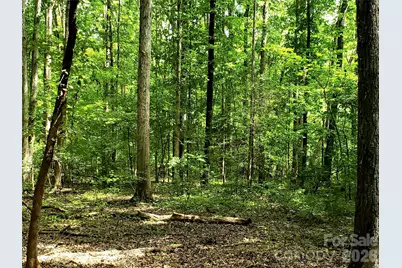 952 W Oak Drive, Rock Hill, SC 29732 - Photo 27