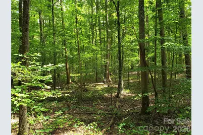 952 W Oak Drive, Rock Hill, SC 29732 - Photo 21