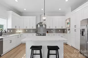 326 Belton St, Charlotte, NC 28209 - Photo 9