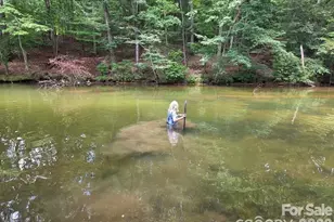 198 Clouse Ln, Taylorsville, NC 28681 - Photo 5