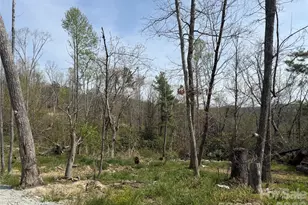 273 McMillan Dr, Hendersonville, NC 28792 - Photo 3