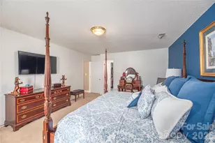 42 Cranberry Bog Ct, Fletcher, NC 28732 - Photo 17