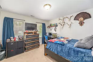 42 Cranberry Bog Ct, Fletcher, NC 28732 - Photo 21