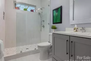 255 Dalhousie Ct, Flat Rock, NC 28731 - Photo 25