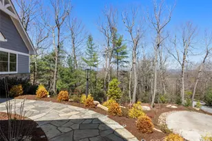 255 Dalhousie Ct, Flat Rock, NC 28731 - Photo 3