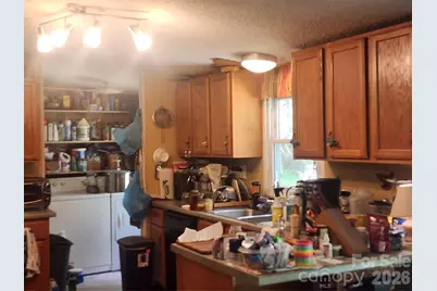 155 Mill Pond Lane, Mooresville, NC 28115 - Photo 3