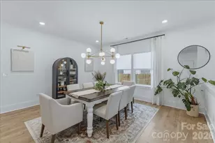 2904 Clemson Ave, Charlotte, NC 28205 - Photo 5