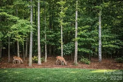 14850 Belleglade Trail, Mint Hill, NC 28227 - Photo 41