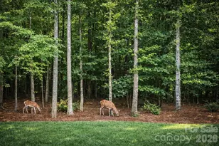 14850 Belleglade Trail, Mint Hill, NC 28227 - Photo 41