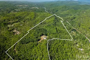4454 Asheville Hwy, Pisgah Forest, NC 28768 - Photo 47