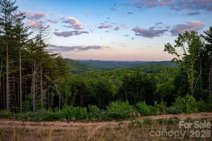 4454 Asheville Hwy, Pisgah Forest, NC 28768 - Photo 35