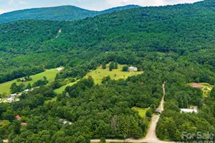 24 Nesbitts Olde Farm Rd, Fairview, NC 28730 - Photo 47