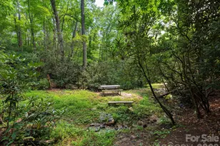 24 Nesbitts Olde Farm Rd, Fairview, NC 28730 - Photo 43