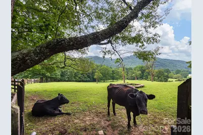 24 Nesbitts Olde Farm Road, Fairview, NC 28730 - Photo 41
